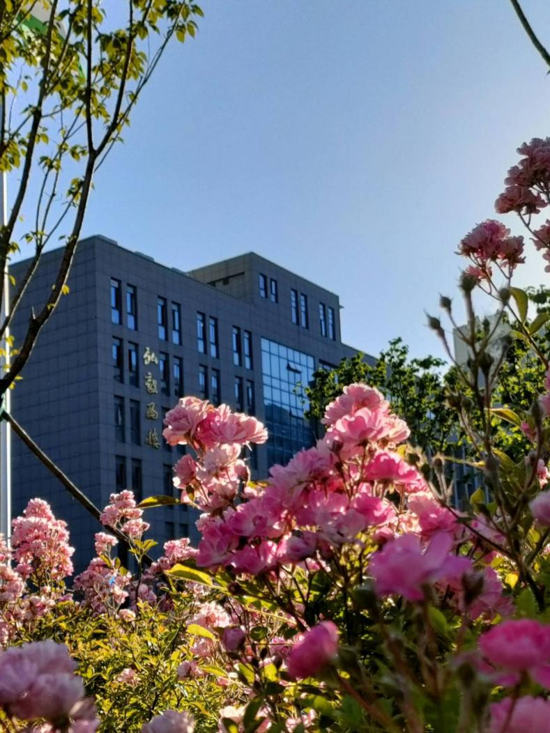 Anhui Medical University