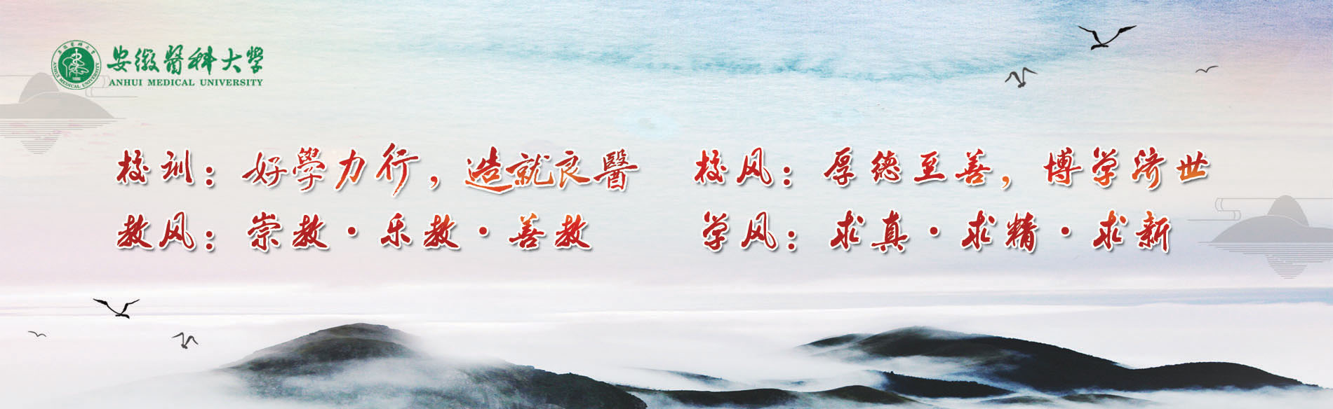 Anhui Medical University