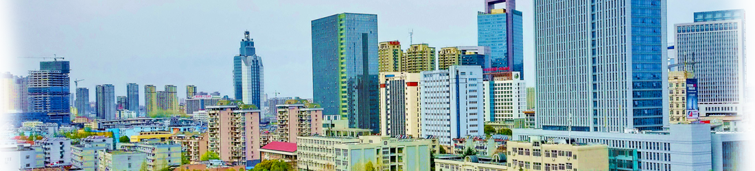 Anhui Medical University